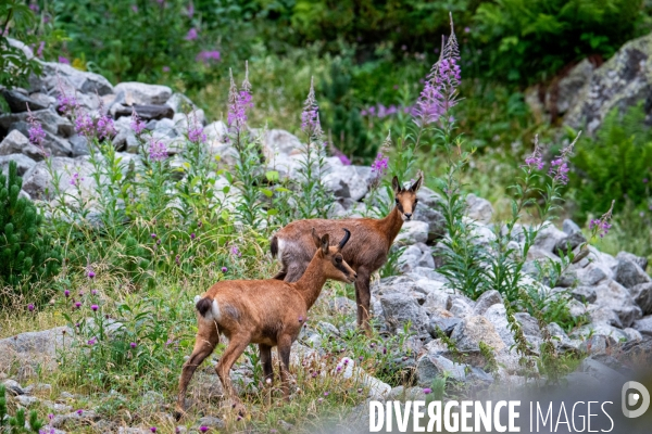 Randonnee sur le gr10