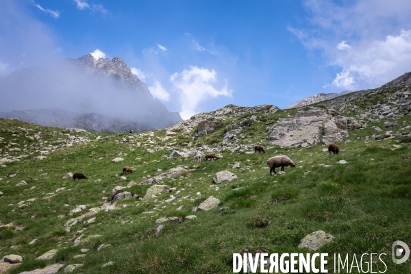 Randonnee sur le gr10