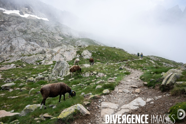 Randonnee sur le gr10