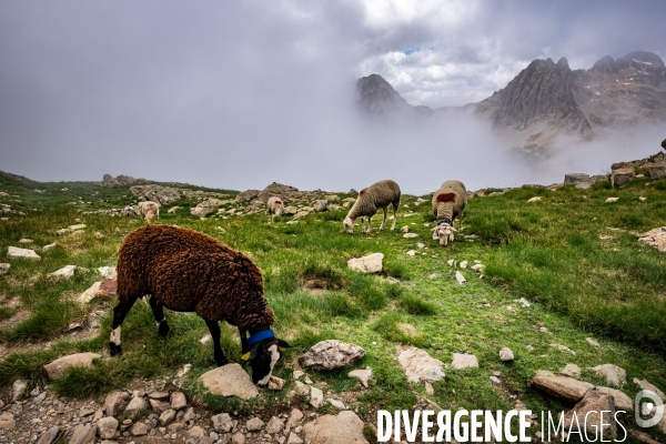 Randonnee sur le gr10