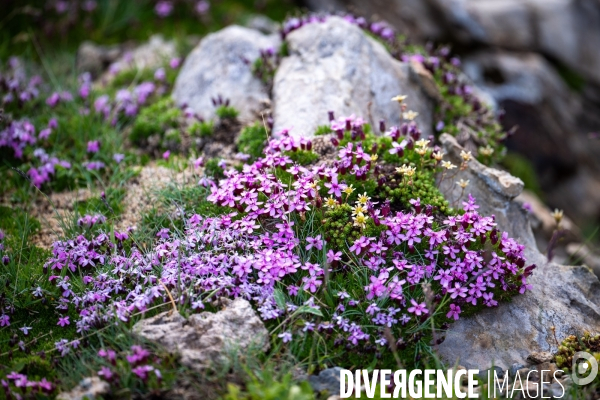 Randonnee sur le gr10