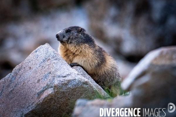 Randonnee sur le gr10