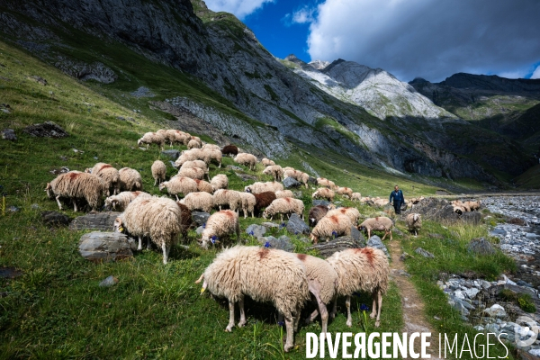 Randonnee sur le gr10
