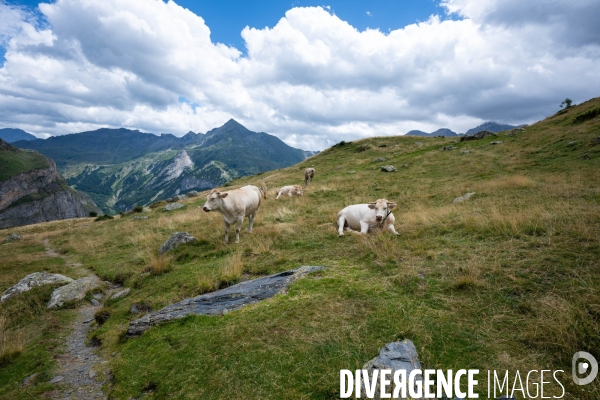 Randonnee sur le gr10