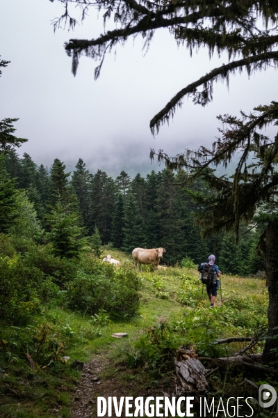 Randonnee sur le gr10