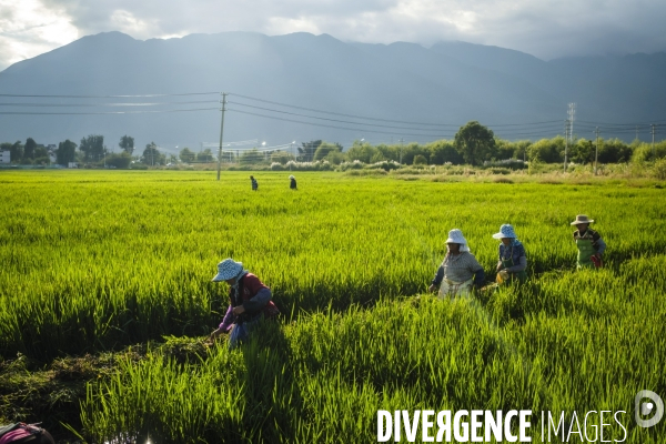 Vie quotidienne en Chine