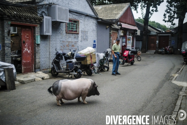 Vie quotidienne en Chine