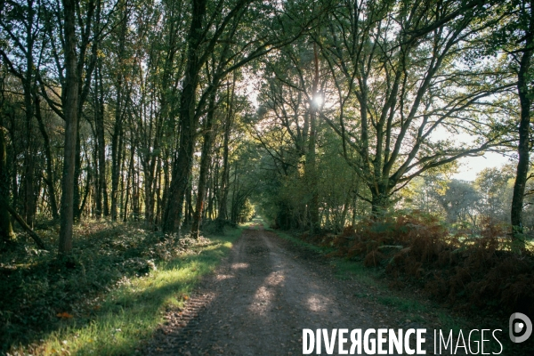 Pic de secheresse en bretagne