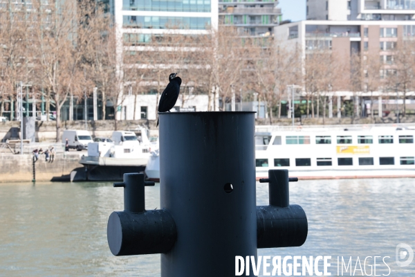 La route des transitions - paris 