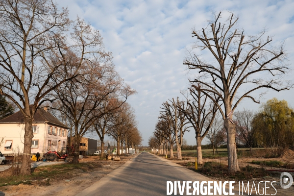 La route des transitions - alsace