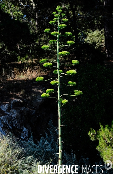 Saint Malo, la ville aux 16 plages