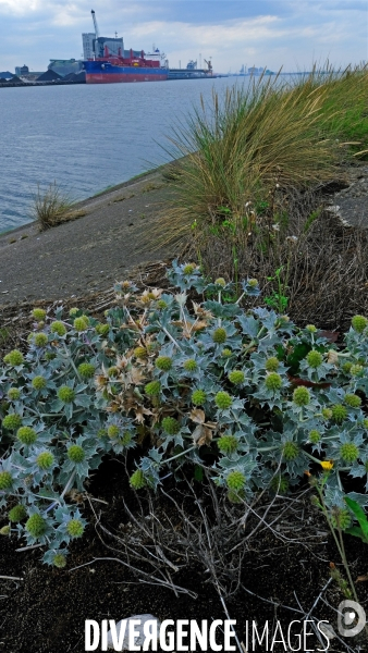 Un samedi sur la digue du Break # 4