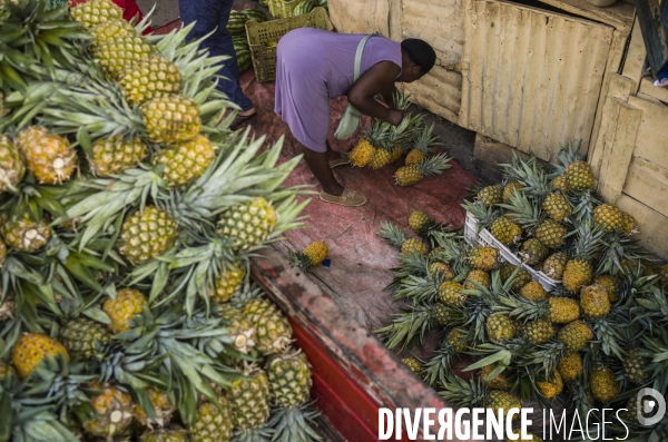 Travailleurs haitiens en republique dominicaine.
