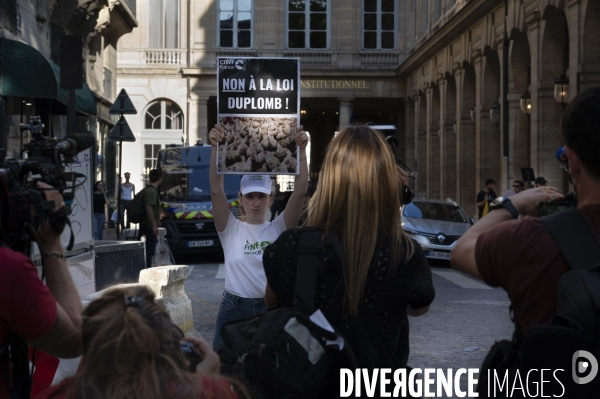 Rassemblement contre la loi Duplomb devant le Conseil constitutionnel