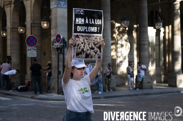 Rassemblement contre la loi Duplomb devant le Conseil constitutionnel