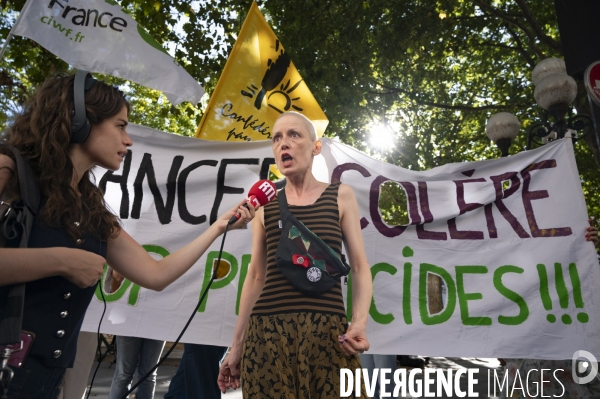 Rassemblement contre la loi Duplomb devant le Conseil constitutionnel