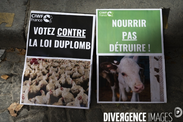 Rassemblement contre la loi Duplomb devant le Conseil constitutionnel