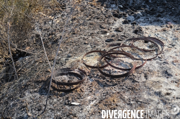 Incendies Saint-Laurent-de-la-Cabrerisse