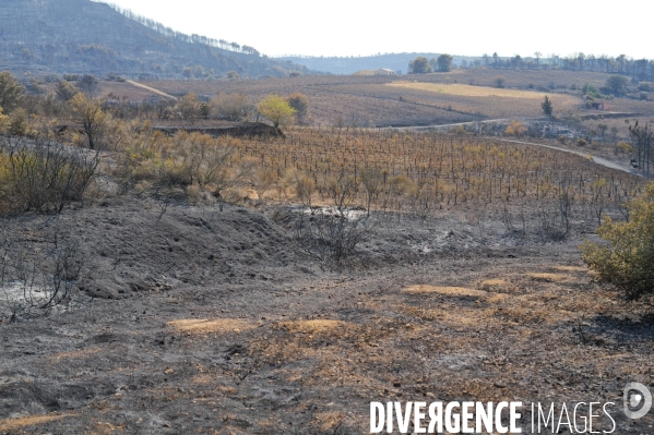 Incendies Saint-Laurent-de-la-Cabrerisse