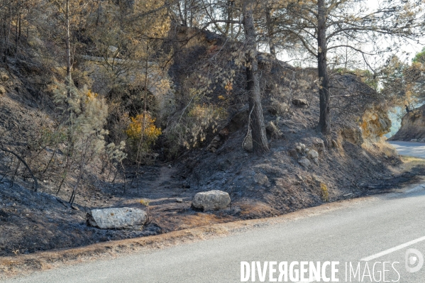 Incendie dans les Corbières à Jonquières et Ribaute.