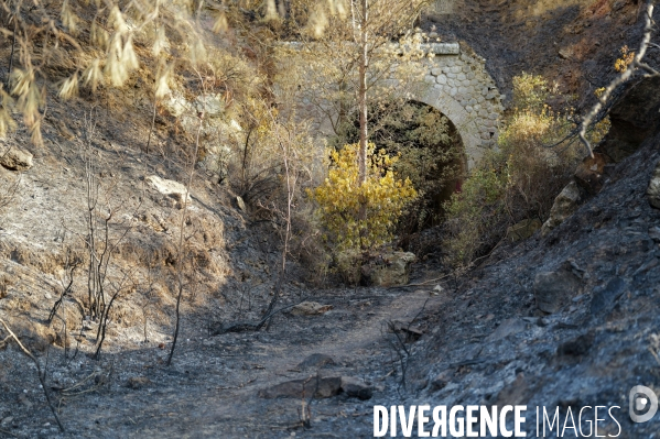 Incendie dans les Corbières à Jonquières et Ribaute.