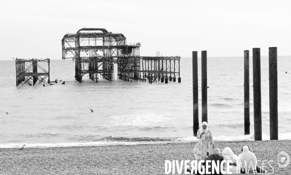Back to Brighton !