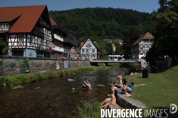 Vigilance canicule en foret noire