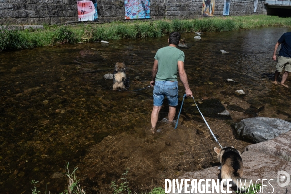 Vigilance canicule en foret noire