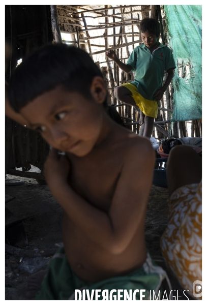 Colombie - wayuu - guajira - perico