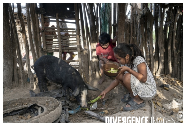 Colombie - wayuu - guajira - perico