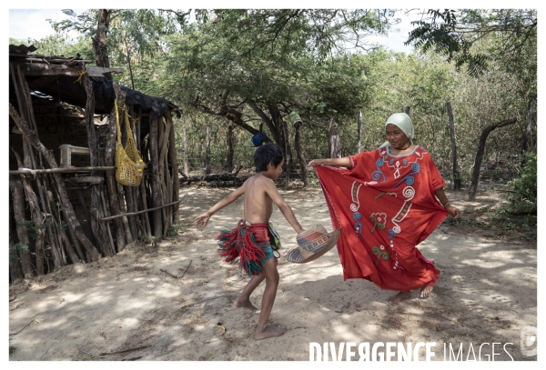 Colombie - wayuu - guajira - perico