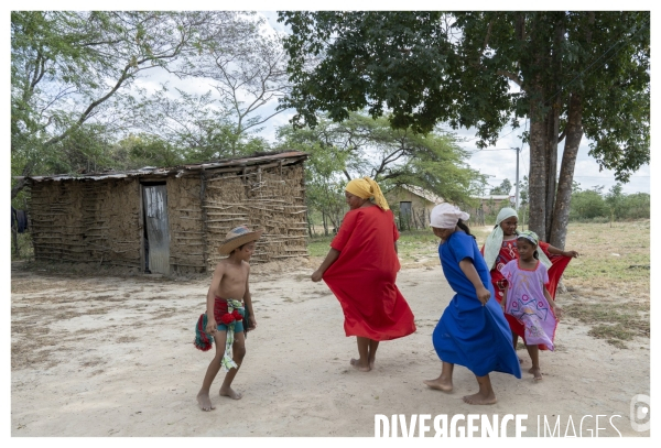 Colombie - wayuu - guajira - perico