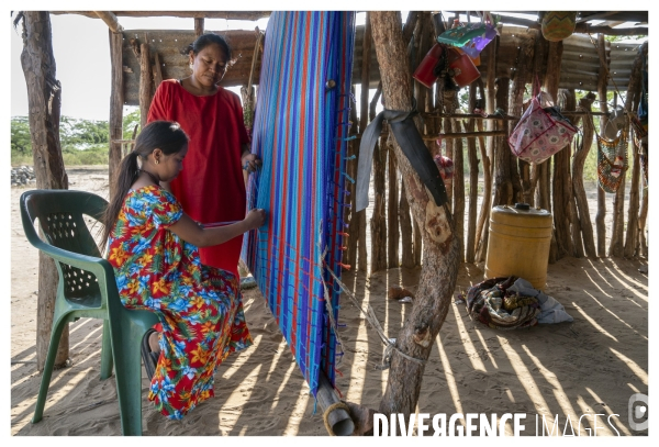 Colombie - wayuu - guajira - perico