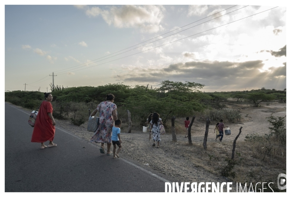 Colombie - wayuu - guajira - perico