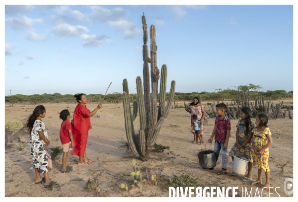Colombie - wayuu - guajira - perico