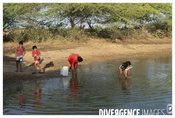 Colombie - wayuu - guajira - perico