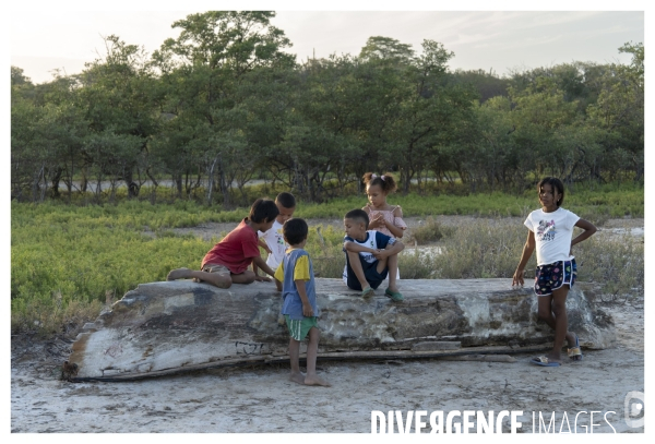 Colombie - wayuu - guajira - perico