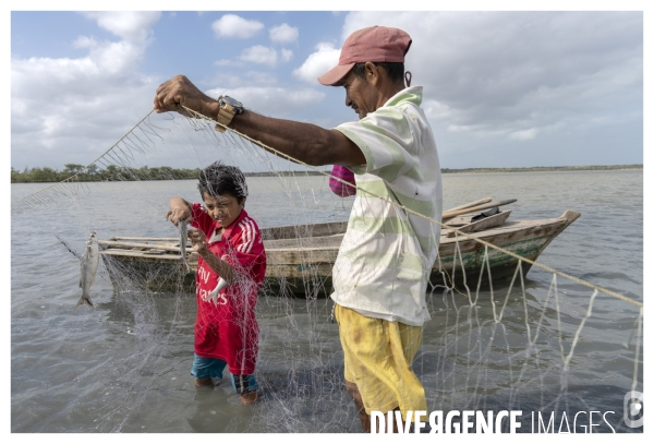 Colombie - wayuu - guajira - perico