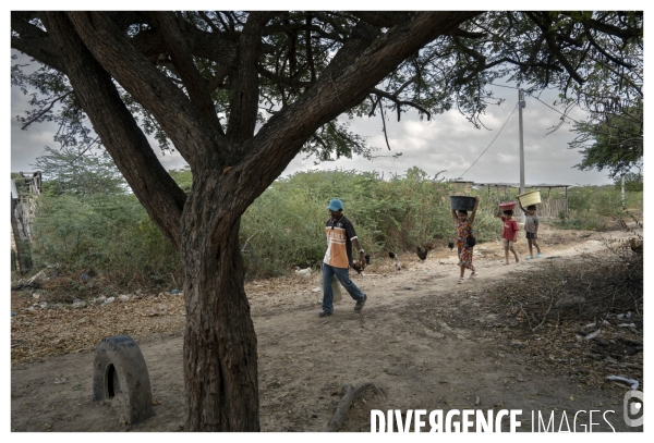 Colombie - wayuu - guajira - perico