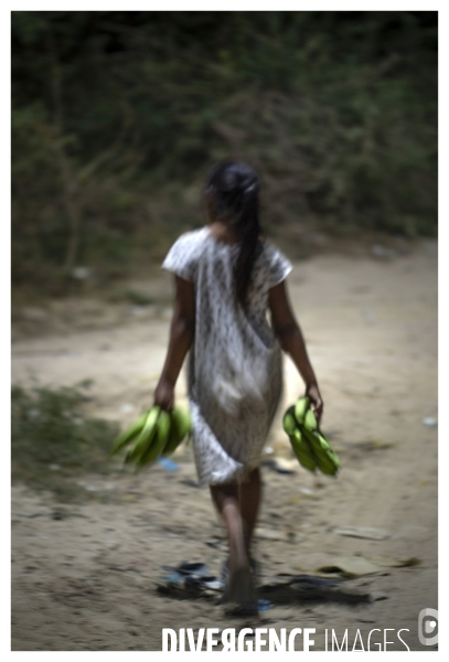 Colombie - wayuu - guajira - perico