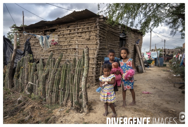 Colombie - wayuu - guajira - perico