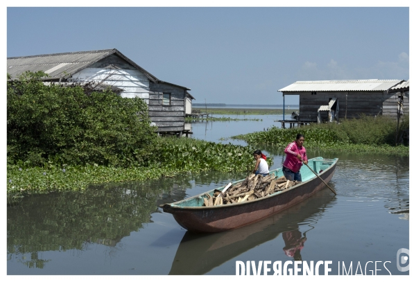 Colombie - nueva venecia -