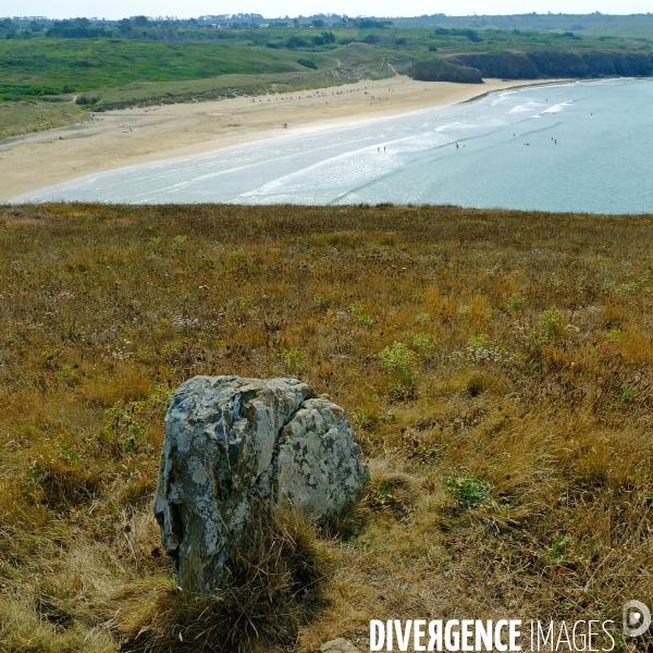 Illustration du mois d Aout 2025