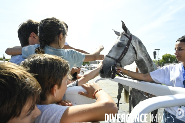 France Galop a inauguré son événement « Les Chevaux à la Concorde ».