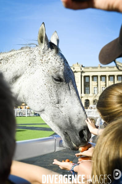 France Galop a inauguré son événement « Les Chevaux à la Concorde ».