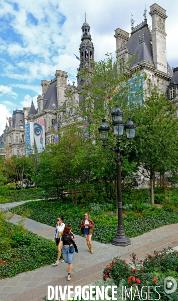 La foret urbaine du parvis de l  hotel de ville #02