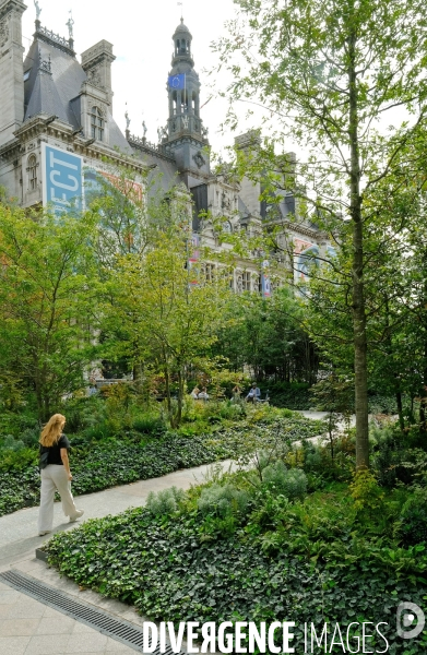 La foret urbaine du parvis de l  hotel de ville #02