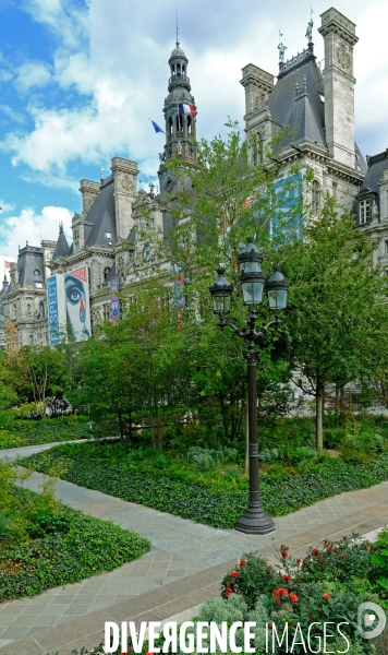 La foret urbaine du parvis de l hotel de ville #02