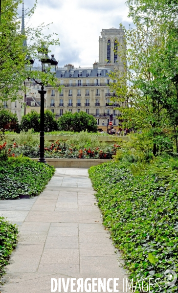 La foret urbaine du parvis de l  hotel de ville #02
