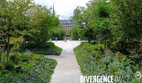 La foret urbaine du parvis de l hotel de ville #02